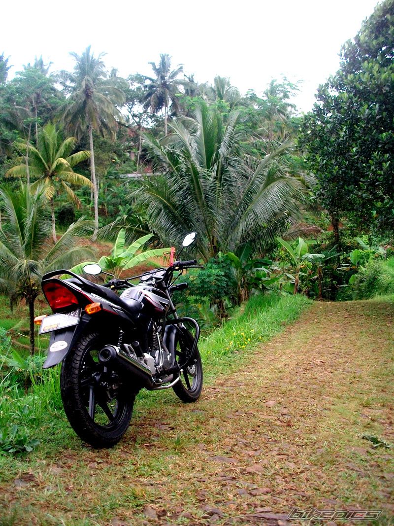 2008 HONDA MEGA PRO | Picture 1971486 motorcycle photo