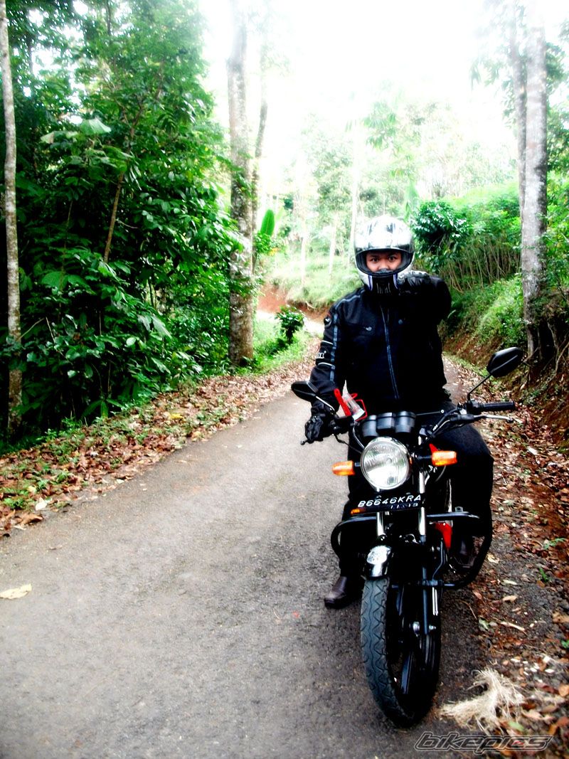 2008 HONDA MEGA PRO | Picture 1971487 motorcycle photo