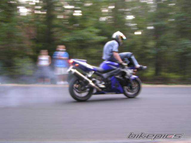 2003 YAMAHA YZF R6 | Picture 197193 motorcycle photo