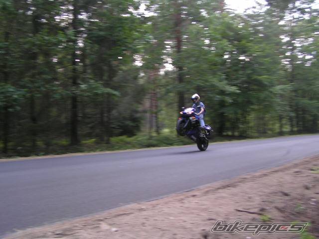2003 YAMAHA YZF R6 | Picture 197194 motorcycle photo