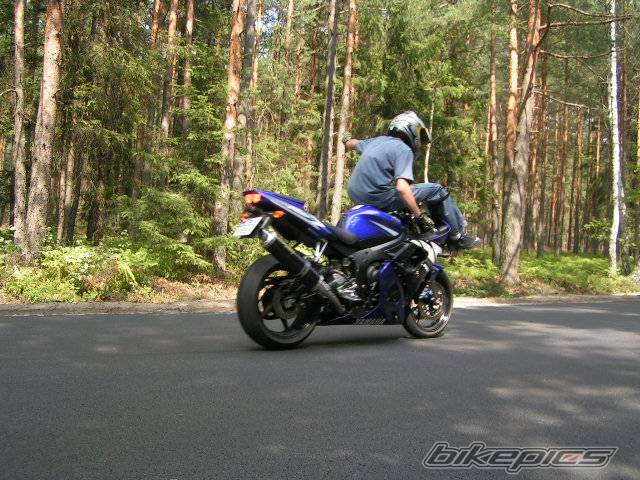 2003 YAMAHA YZF R6 | Picture 197201 motorcycle photo