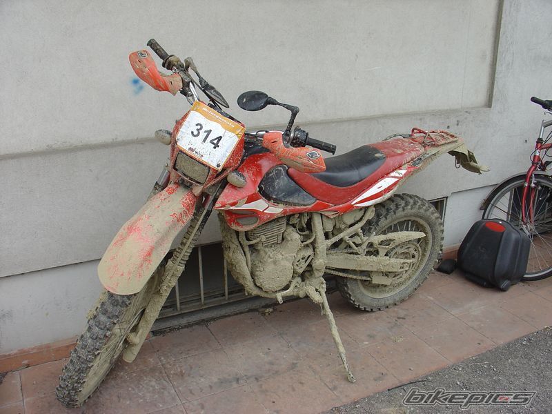 2004 BETA ALP 4.0 | Picture 1972153 motorcycle photo