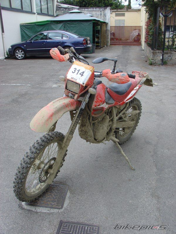 2004 BETA ALP 4.0 | Picture 1972155 motorcycle photo