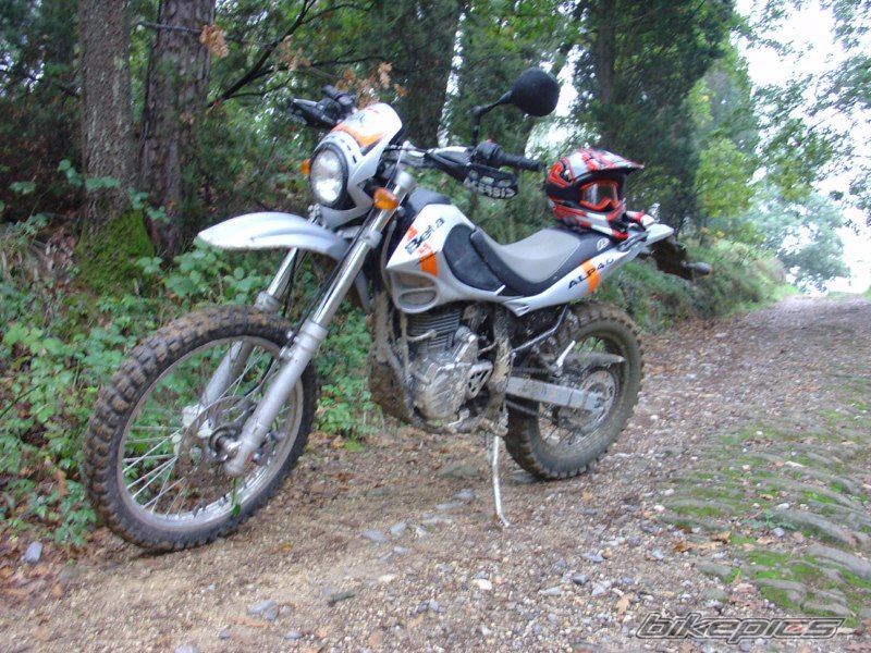 2004 BETA ALP 4.0 | Picture 1972500 motorcycle photo