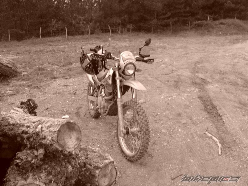 2004 BETA ALP 4.0 | Picture 1972524 motorcycle photo