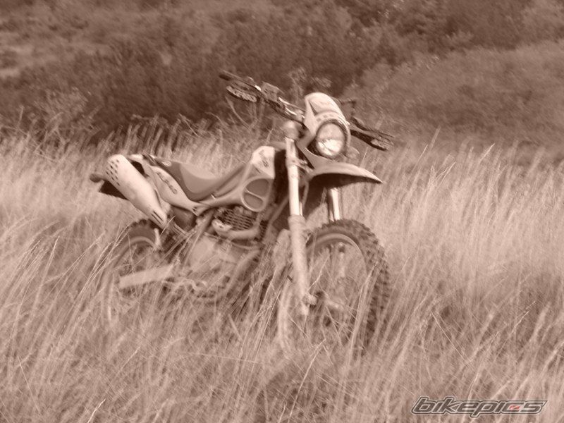 2004 BETA ALP 4.0 | Picture 1972545 motorcycle photo