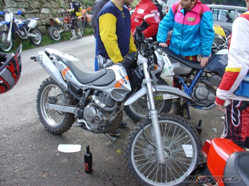 2004 BETA ALP 4.0 | Picture 1972550 motorcycle photo