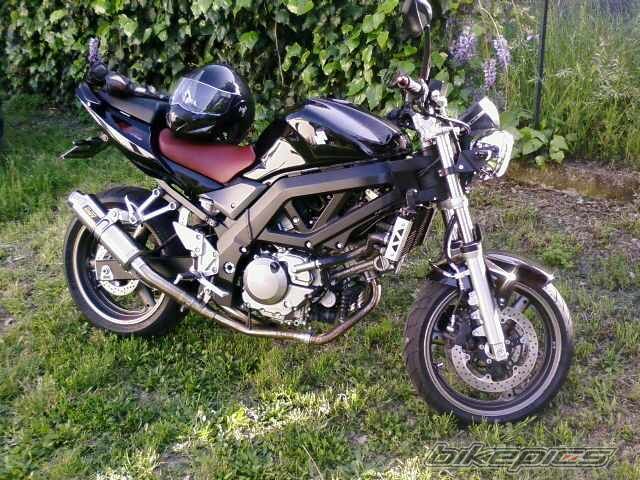 2008 SUZUKI SV 650 | Picture 1973212 motorcycle photo