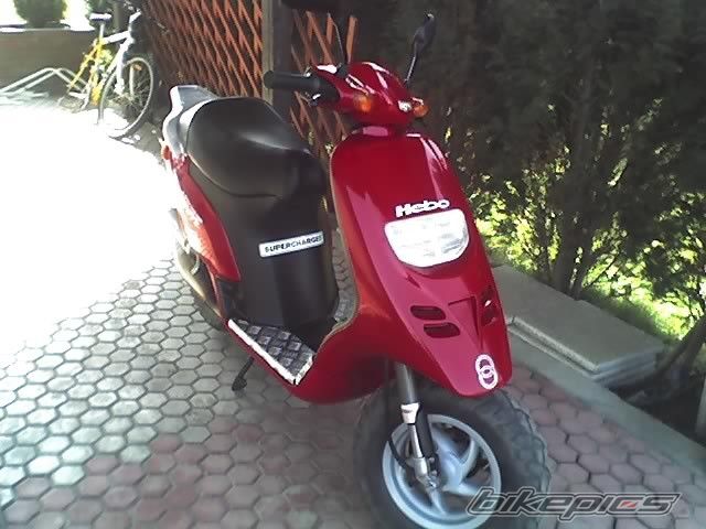 2001 GILERA TYPHOON 50 | Picture 1973475 motorcycle photo