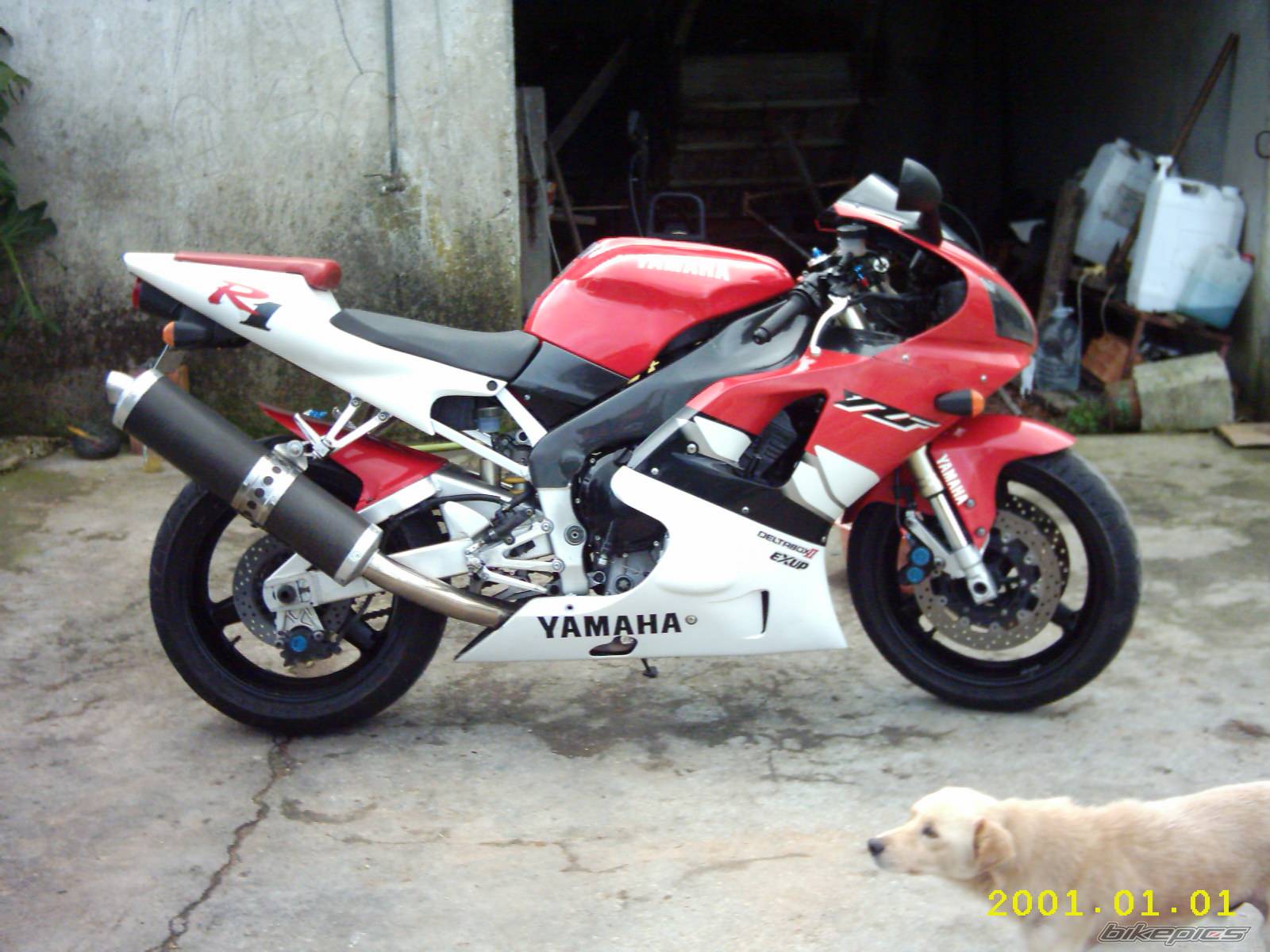 1999 YAMAHA YZF R1 | Picture 197379 motorcycle photo