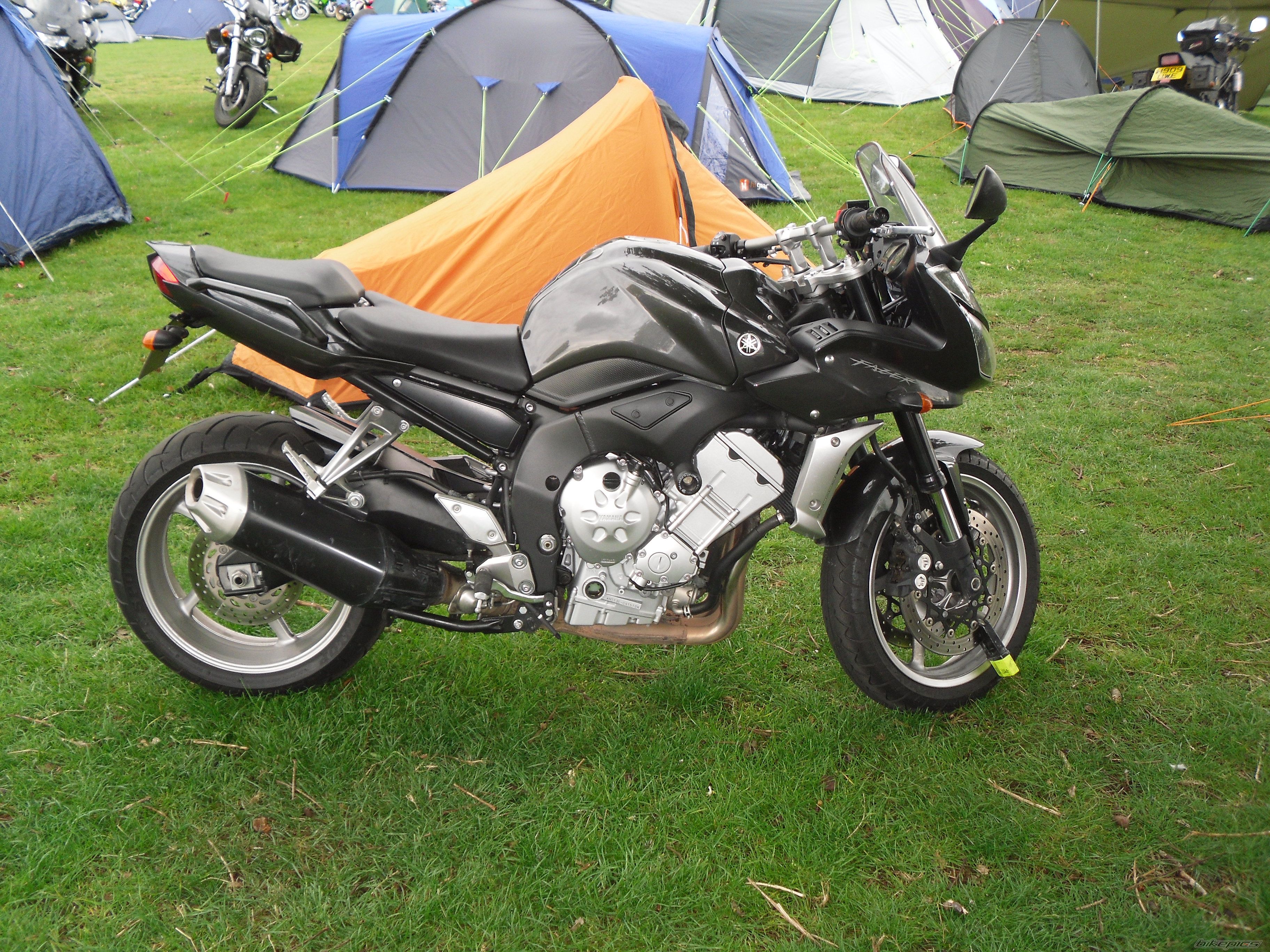 2008 YAMAHA FZ 1 | Picture 1973963 motorcycle photo