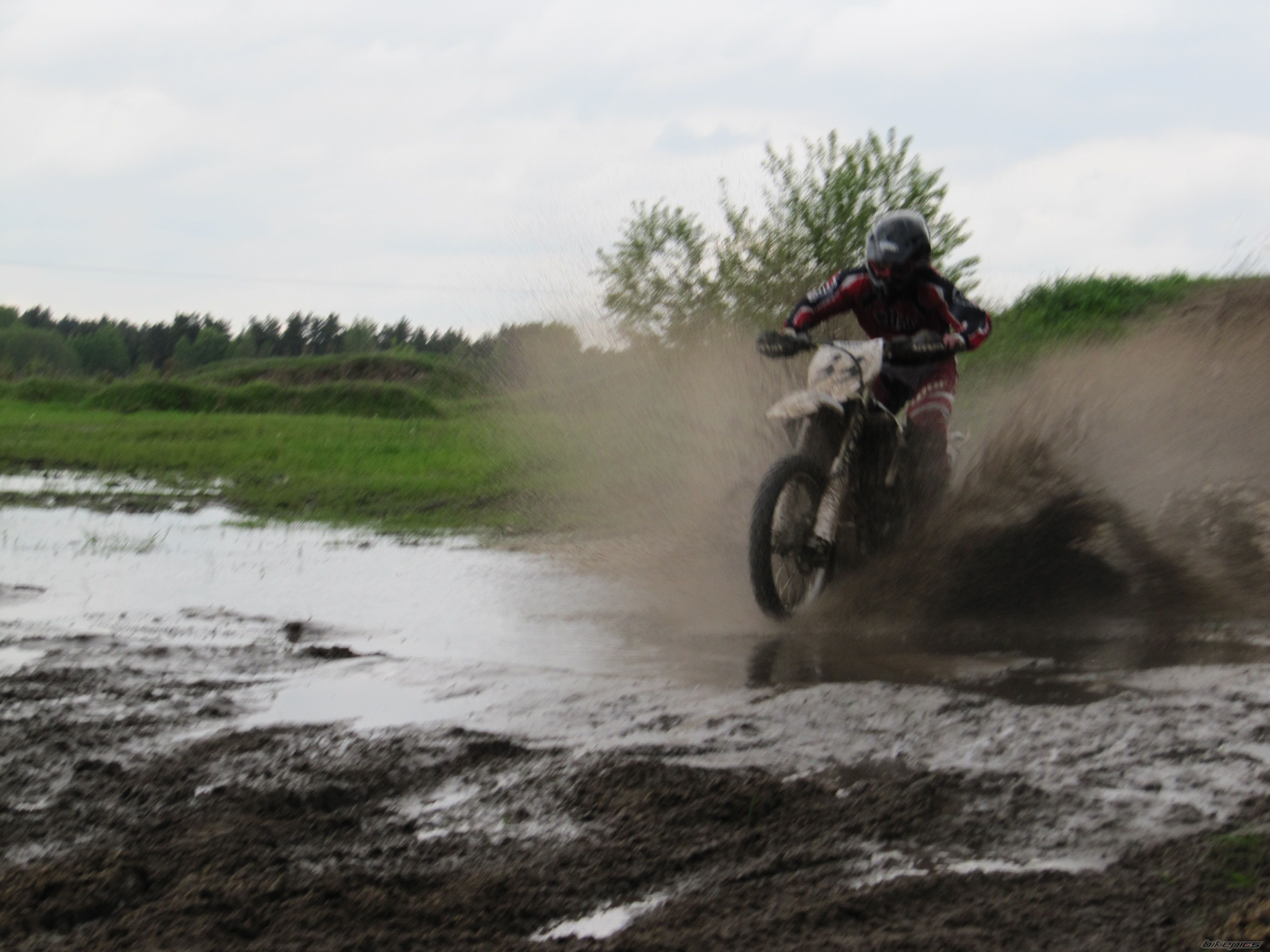 2008 YAMAHA YZ 250F | Picture 1975552 motorcycle photo