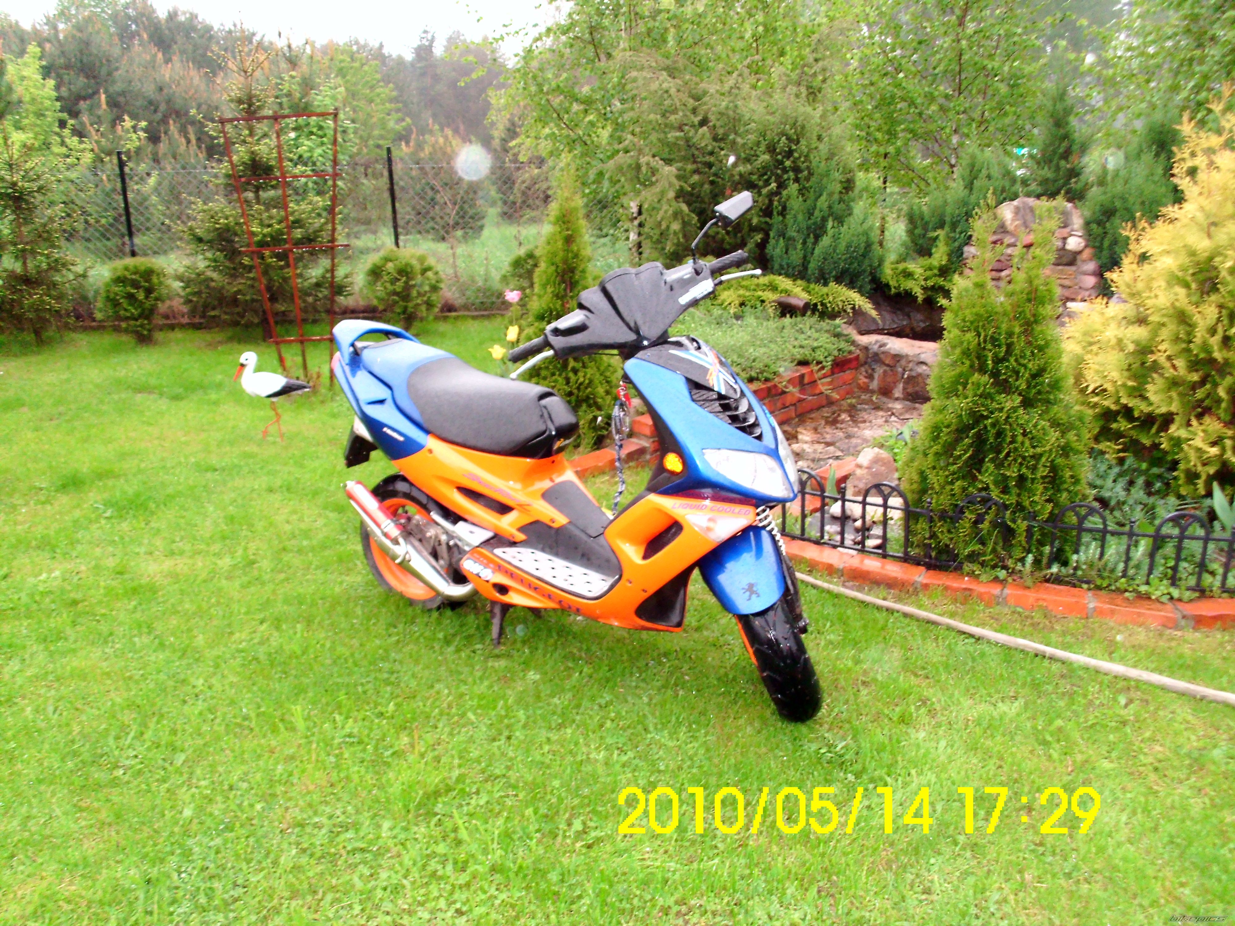 2002 PEUGEOT SPEEDFIGHT2 50 | Picture 1975588 motorcycle photo