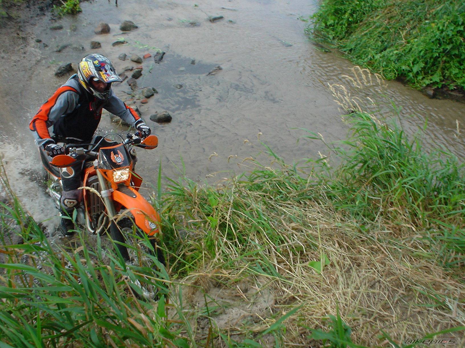 2004 KTM 450 EXC | Picture 197580 motorcycle photo