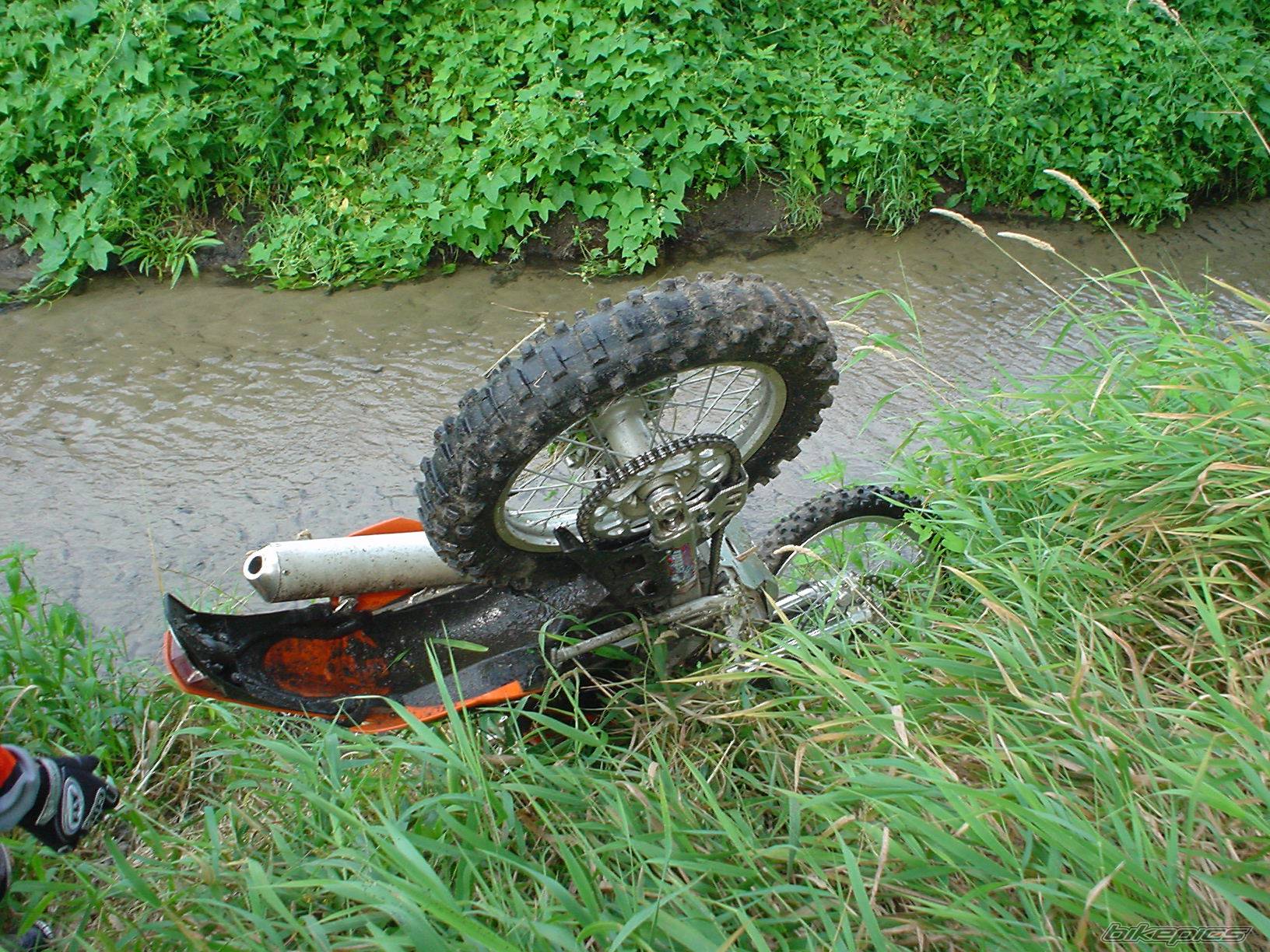 2004 KTM 450 EXC | Picture 197583 motorcycle photo