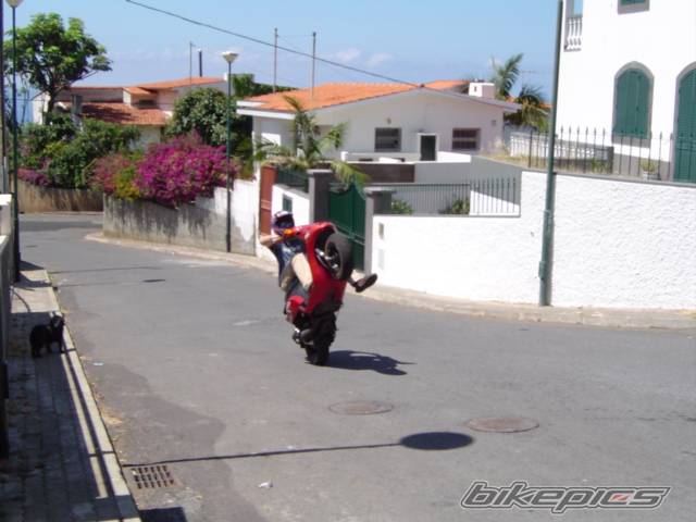 1998 PIAGGIO NRG | Picture 197600 motorcycle photo