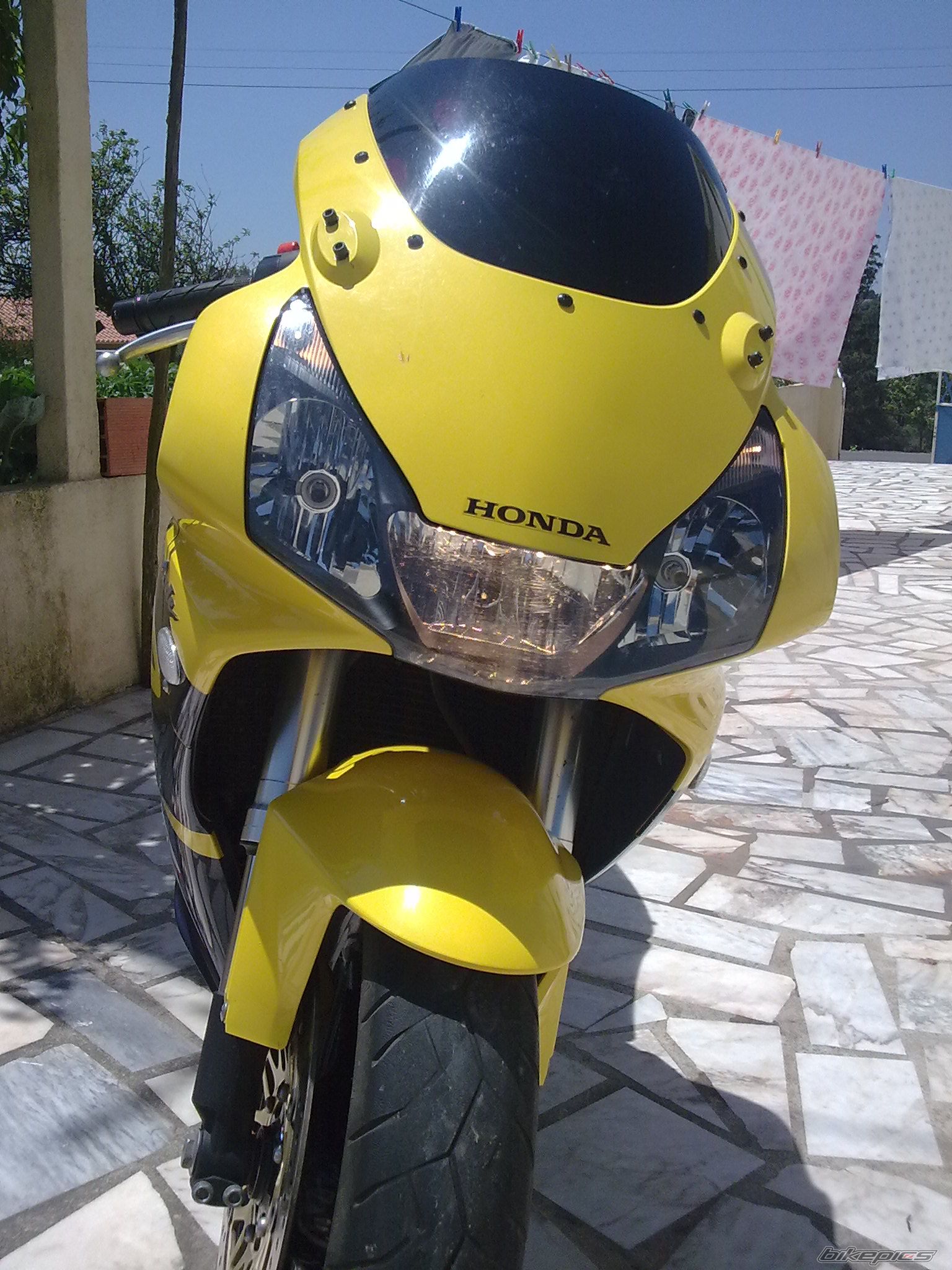 2002 HONDA CBR 900 | Picture 1976336 motorcycle photo