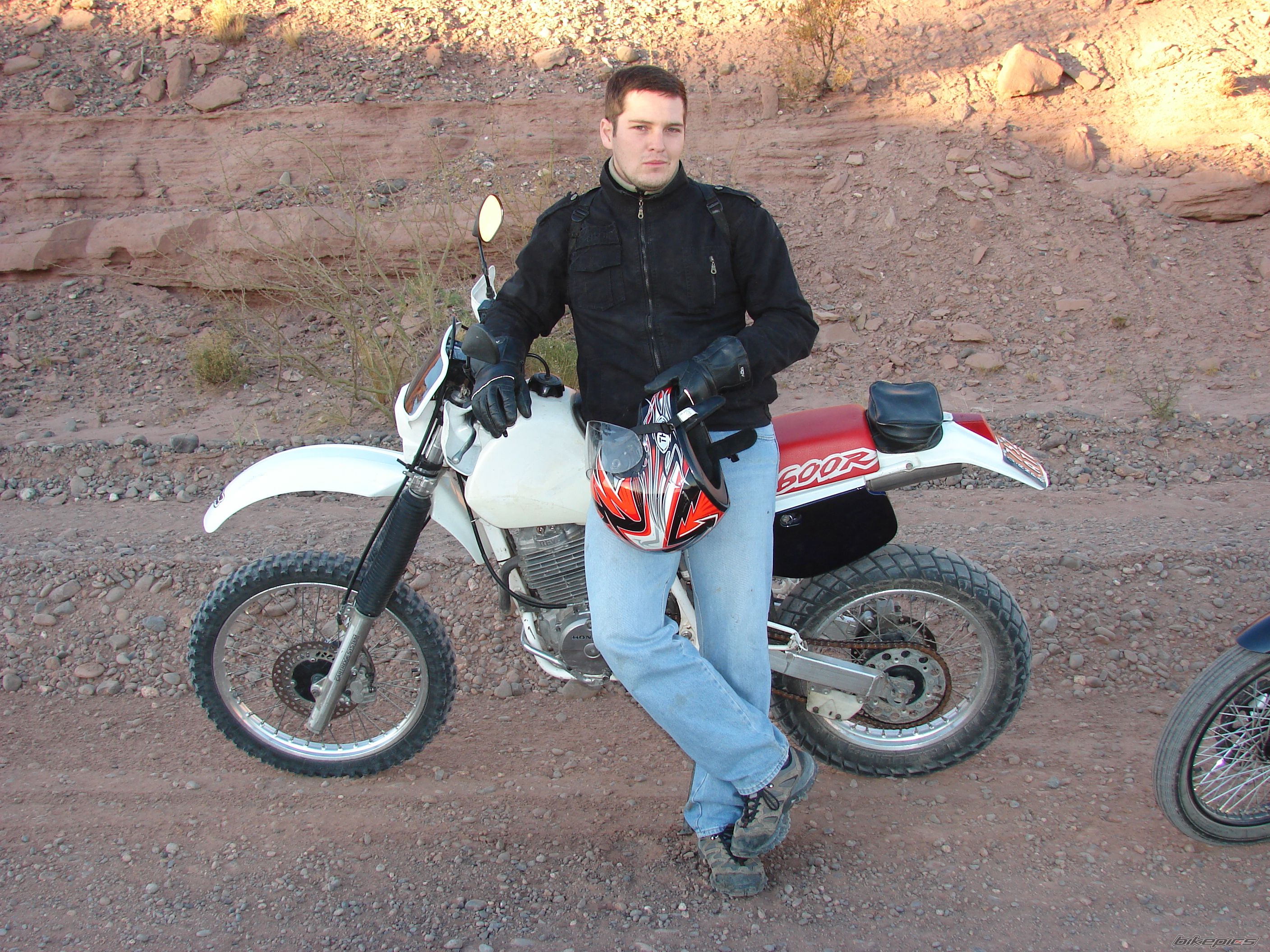 1993 HONDA XR 600 | Picture 1976401 motorcycle photo