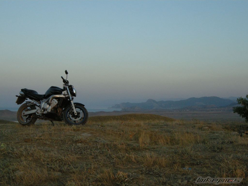 2005 YAMAHA FZ6 FAZER | Picture 1976636 motorcycle photo