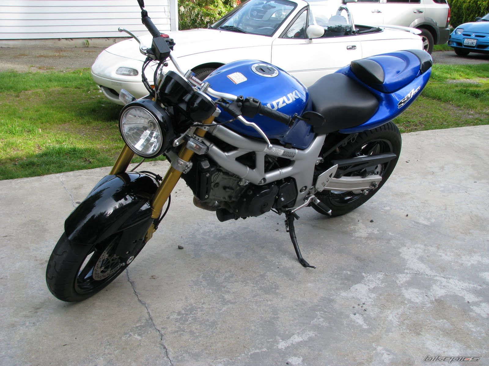 2001 SUZUKI SV 650 | Picture 1977225 motorcycle photo
