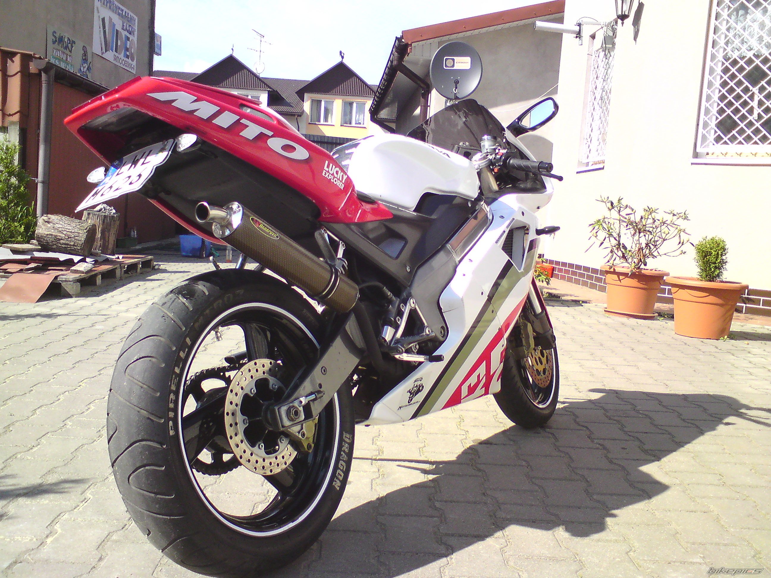 1998 CAGIVA MITO 125 | Picture 1977862 motorcycle photo
