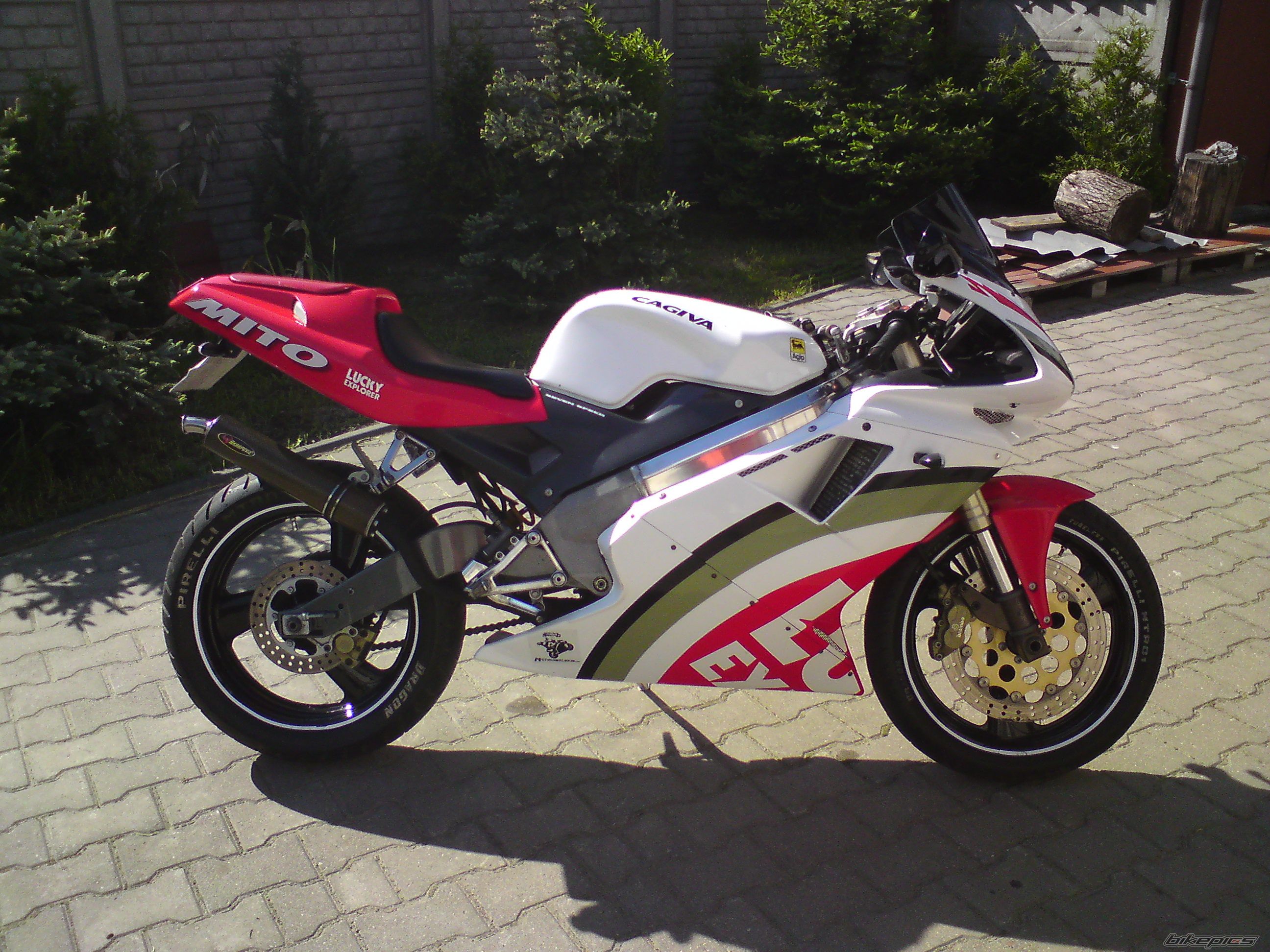 1998 CAGIVA MITO 125 | Picture 1977873 motorcycle photo