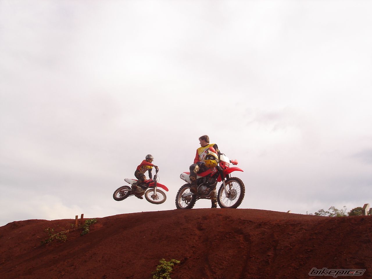 2008 HONDA CRF 230 | Picture 1978034 motorcycle photo