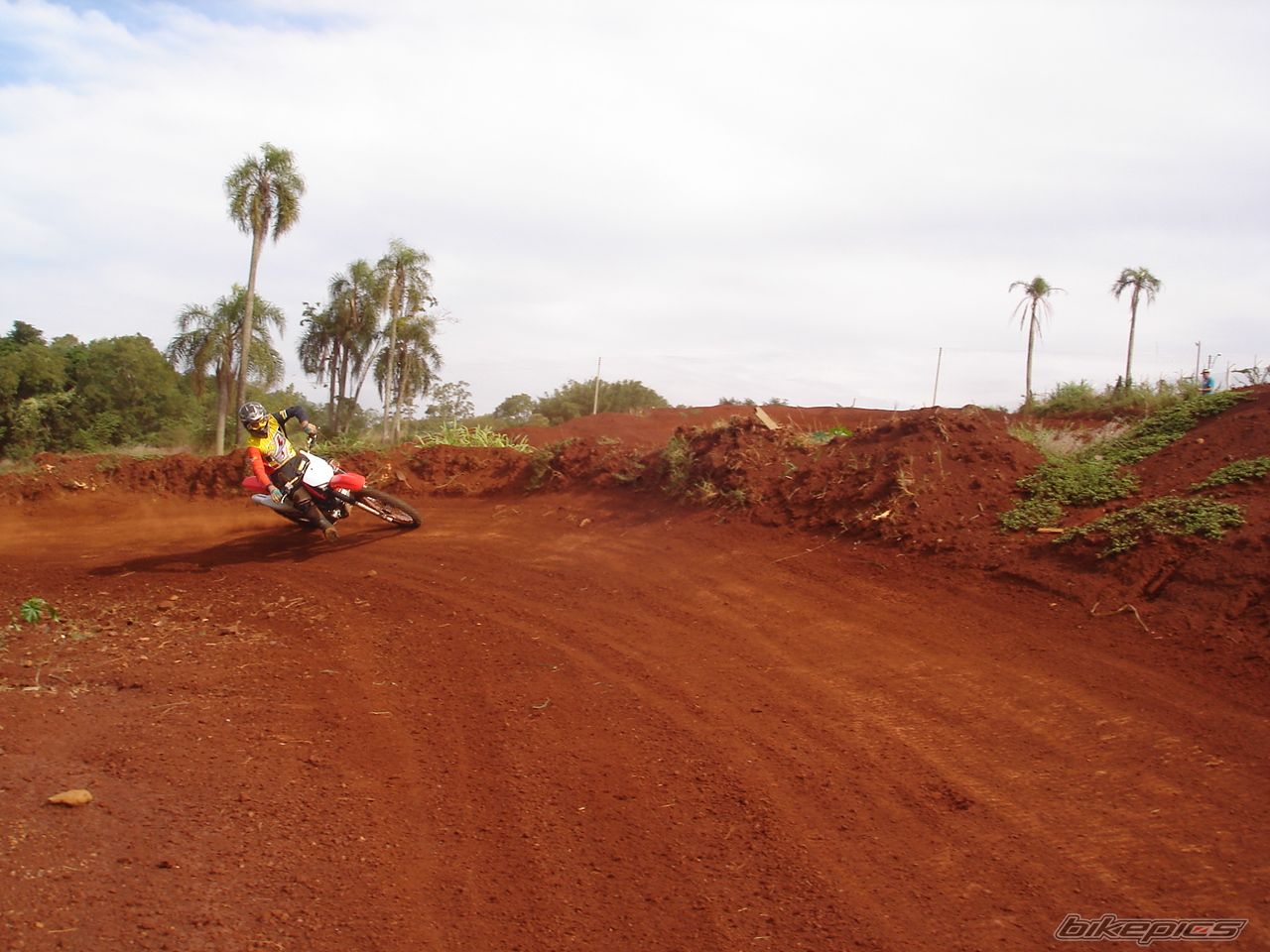 2008 HONDA CRF 230 | Picture 1978035 motorcycle photo