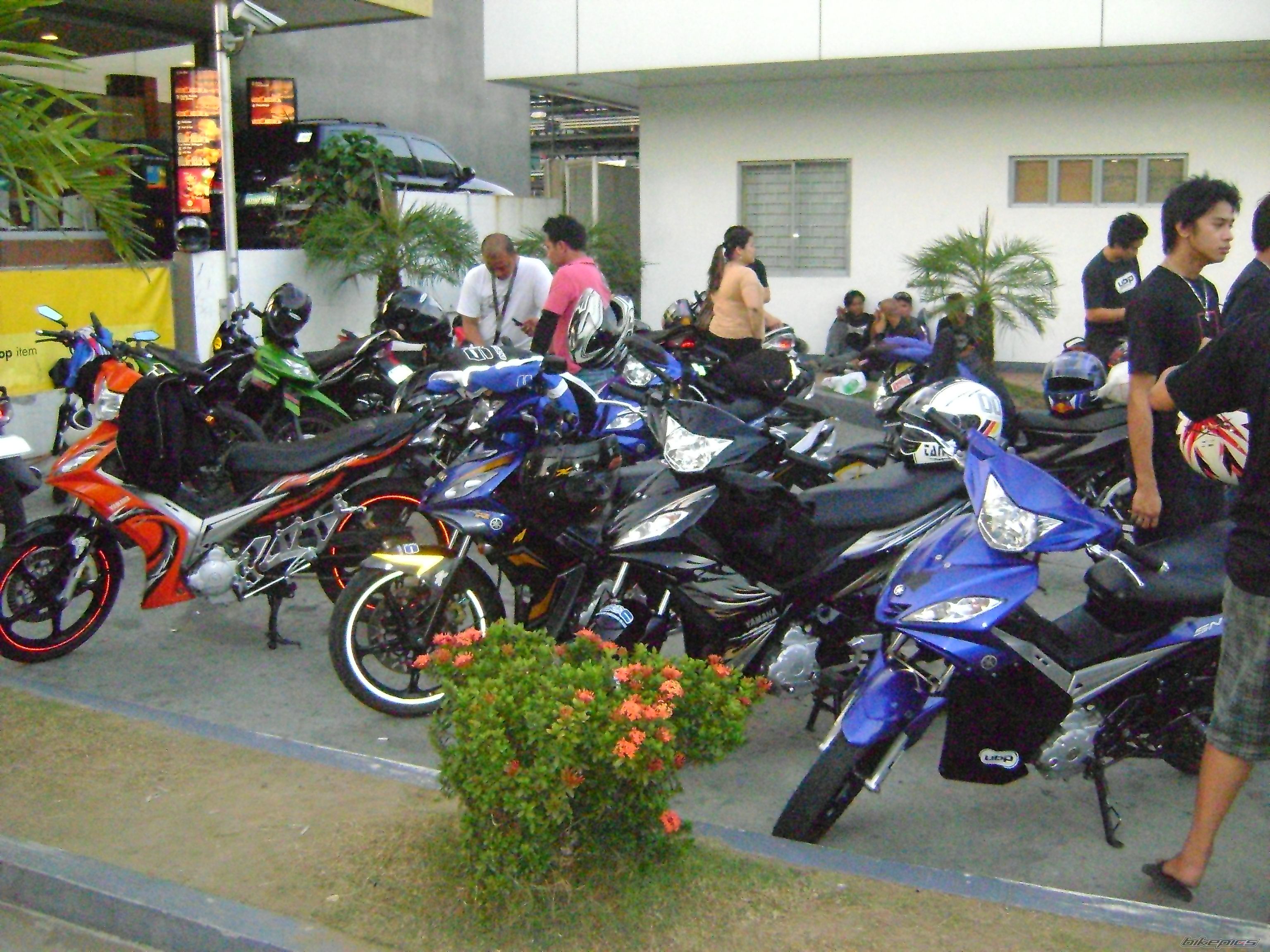 2010 YAMAHA 135 LC | Picture 1978186 motorcycle photo
