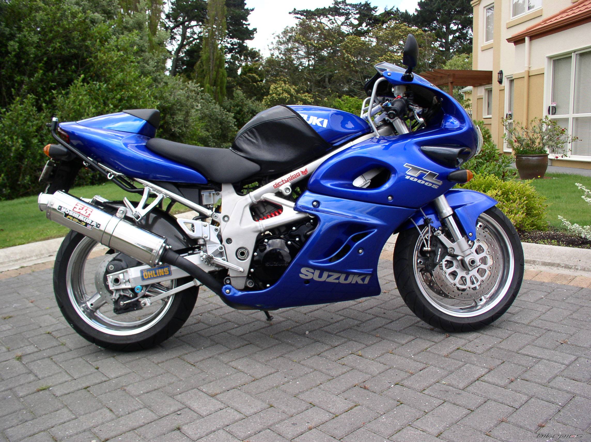2001 SUZUKI TL1000S | Picture 197829 motorcycle photo