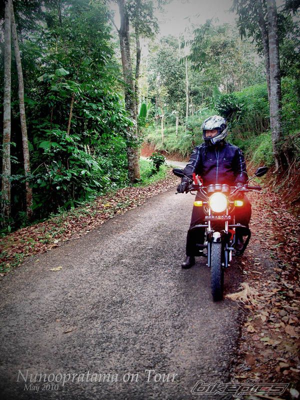 2008 HONDA MEGA PRO | Picture 1979340 motorcycle photo