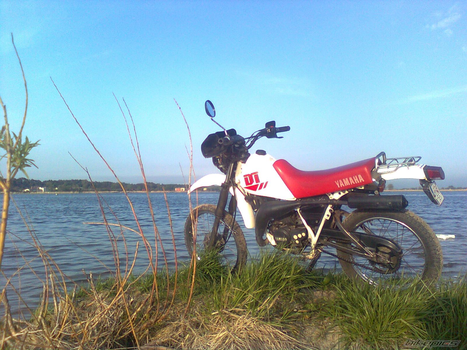 1995 YAMAHA DT 50 | Picture 1979446 motorcycle photo