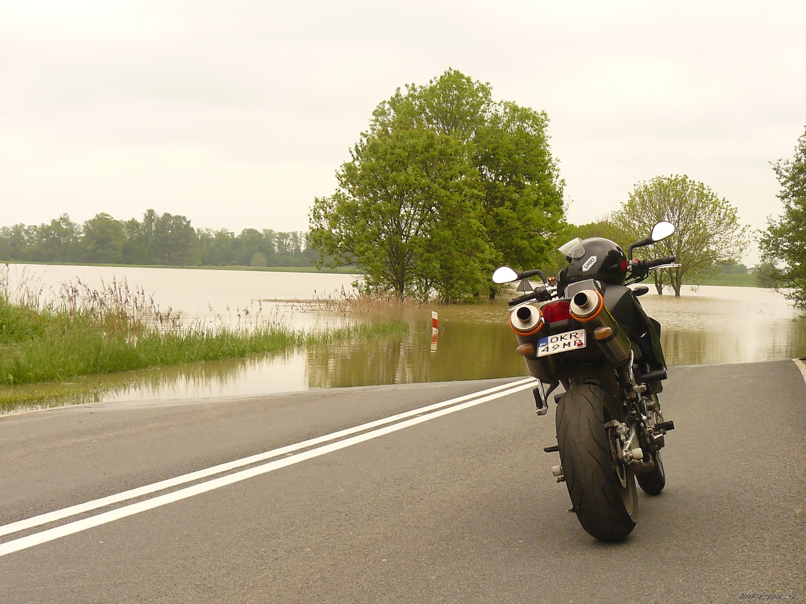 2005 KTM 990 SUPERDUKE | Picture 1979455 motorcycle photo