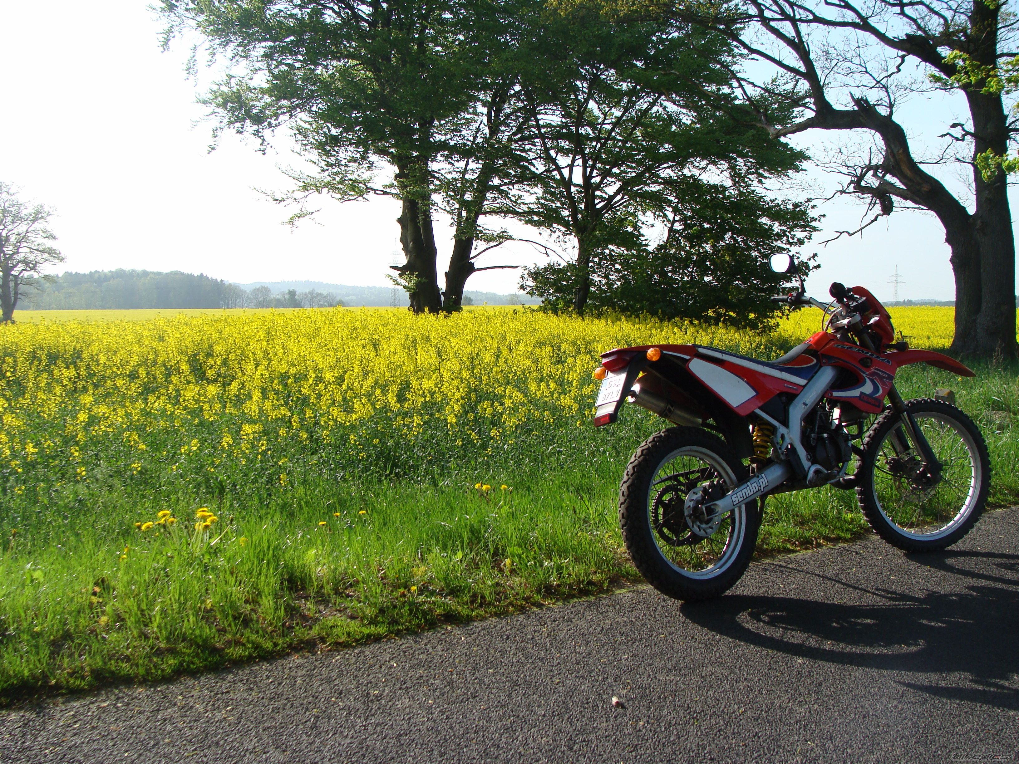 2000 DERBI SENDA X TREME R 50 | Picture 1979965 motorcycle photo