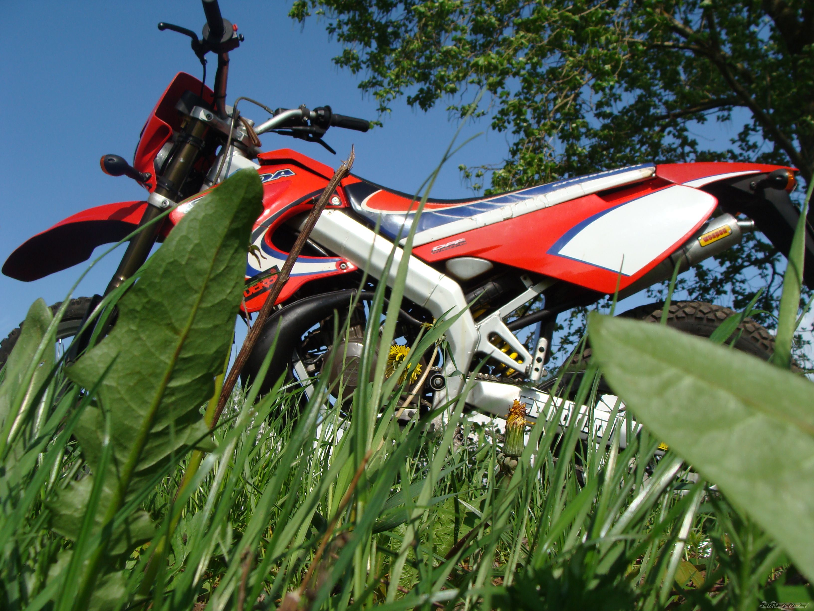 2000 DERBI SENDA X TREME R 50 | Picture 1979974 motorcycle photo