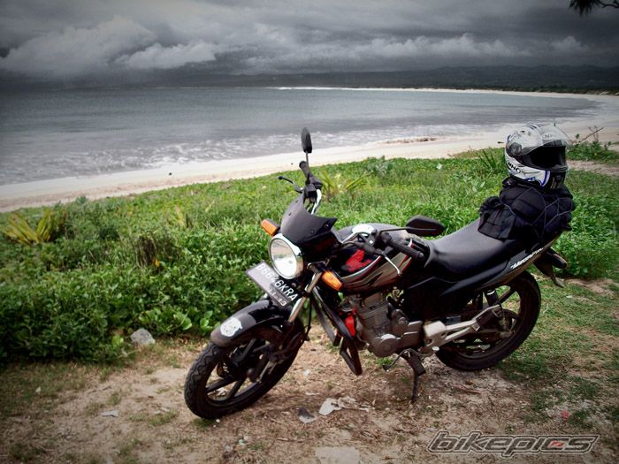 2008 HONDA MEGA PRO | Picture 1981247 motorcycle photo