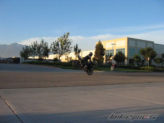 2003 YAMAHA YZF R6 | Picture 198134 motorcycle photo
