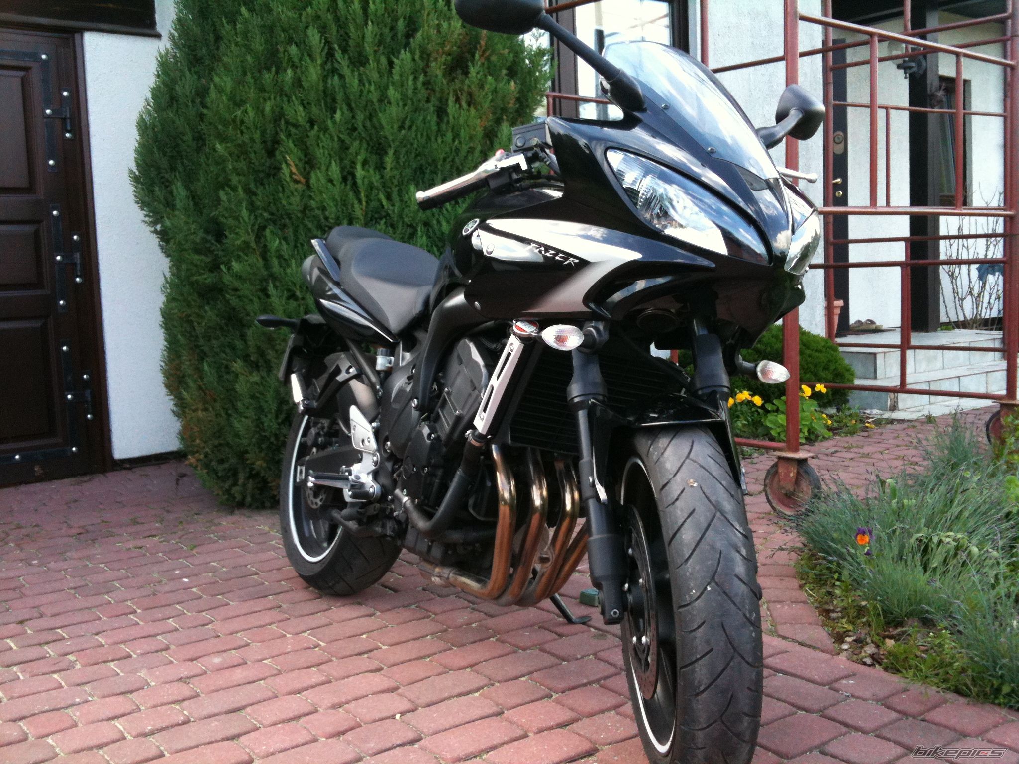 2007 YAMAHA FZ6 FAZER | Picture 1981340 motorcycle photo