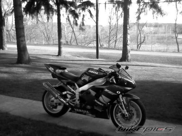 1999 YAMAHA YZF R1 | Picture 1981780 motorcycle photo