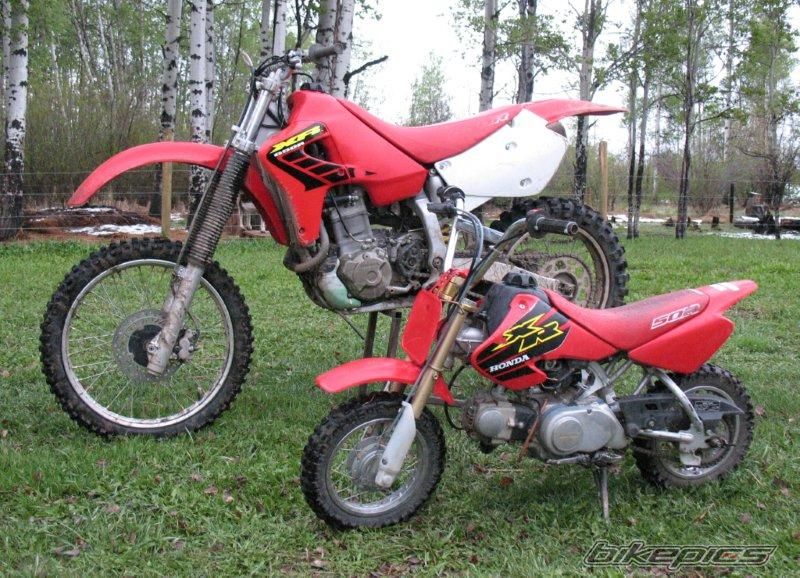 2000 HONDA XR 650 | Picture 1981919 motorcycle photo