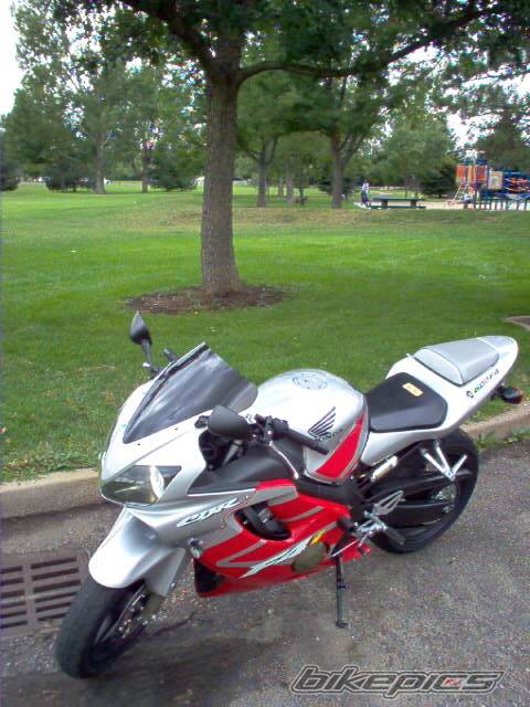 2002 HONDA CBR 600 | Picture 198203 motorcycle photo