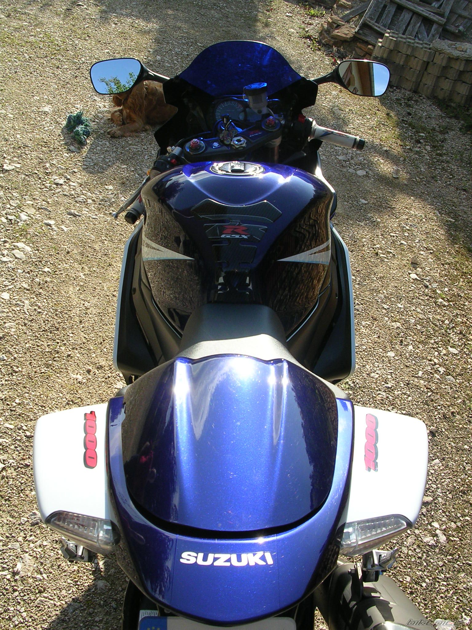 2006 SUZUKI GSX R 1000 | Picture 1982065 motorcycle photo