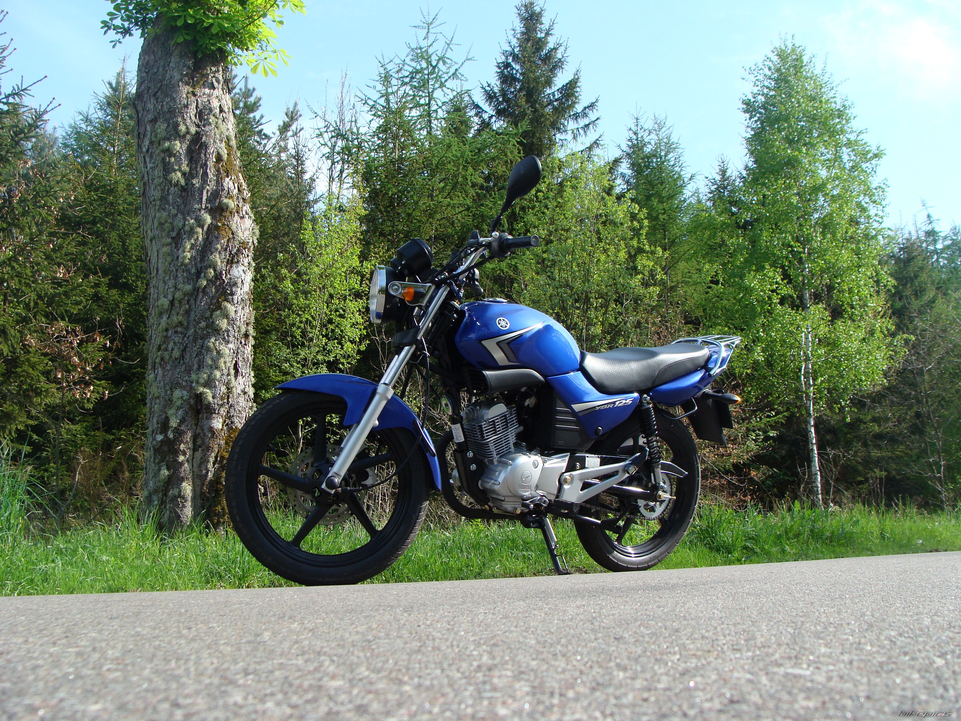 2009 YAMAHA YBR 125 | Picture 1982673 motorcycle photo