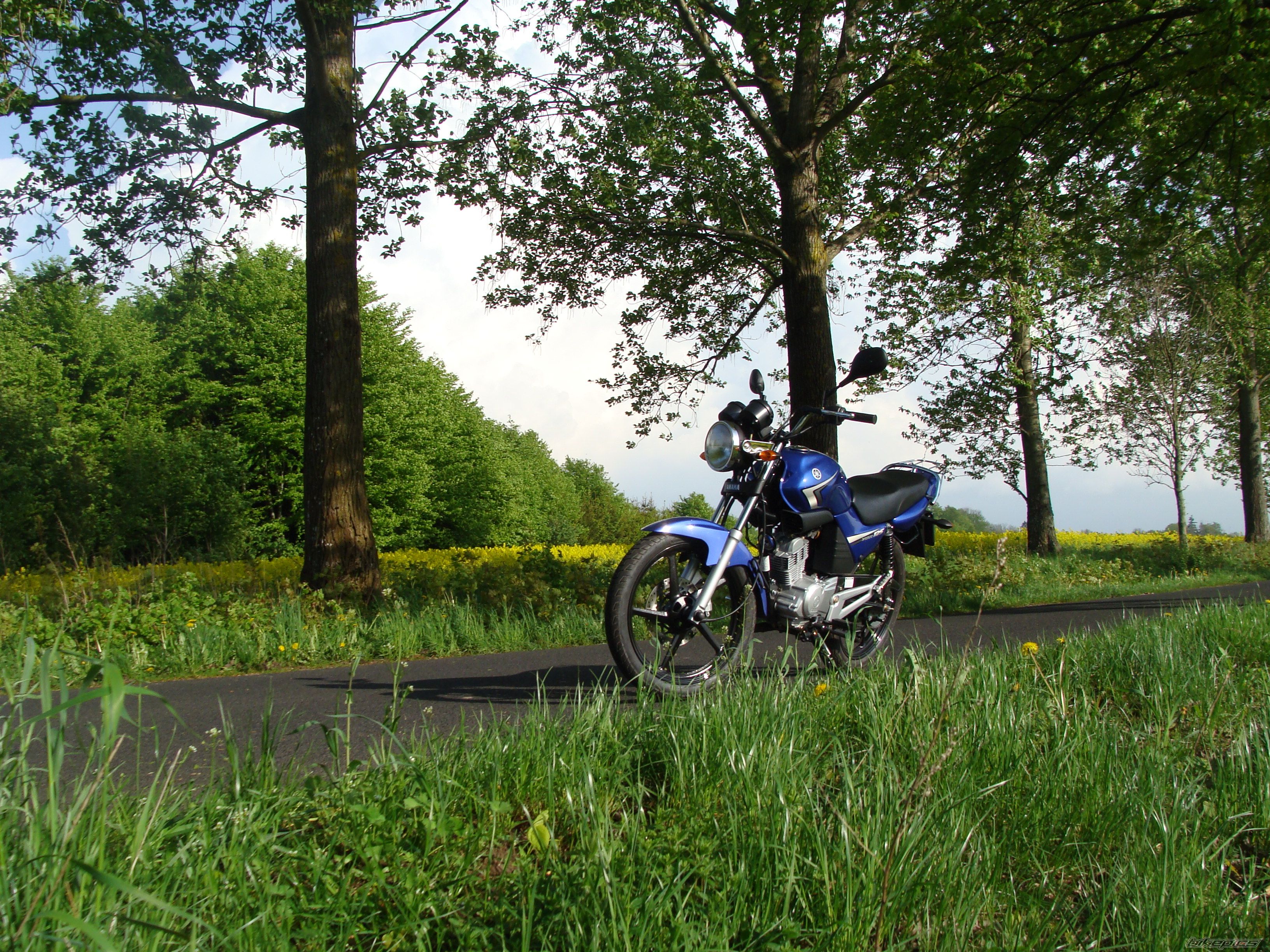2009 YAMAHA YBR 125 | Picture 1982697 motorcycle photo