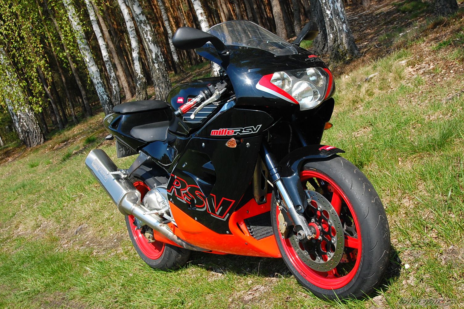 2001 APRILIA RSV 1000 MILLE | Picture 1983620 motorcycle photo