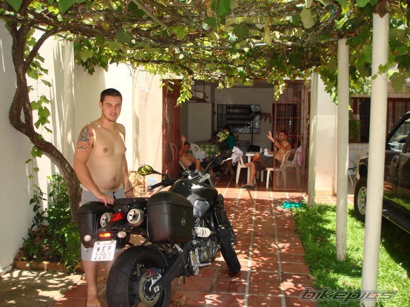 2008 YAMAHA MT 03 | Picture 1984022 motorcycle photo