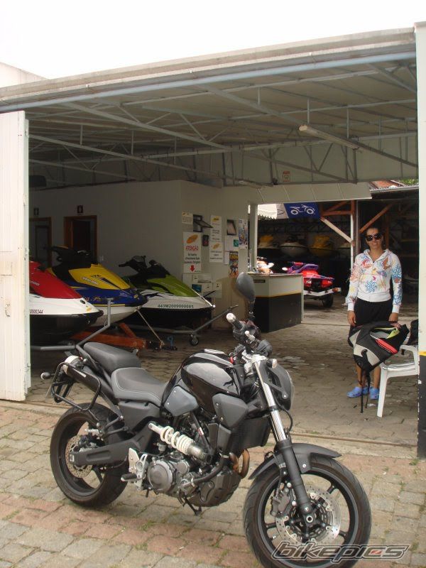 2008 YAMAHA MT 03 | Picture 1984026 motorcycle photo