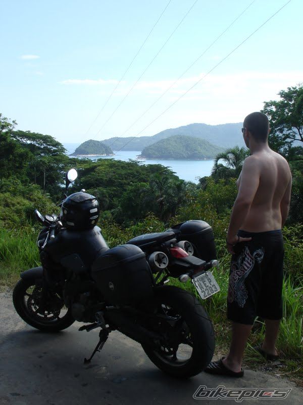 2008 YAMAHA MT 03 | Picture 1984031 motorcycle photo