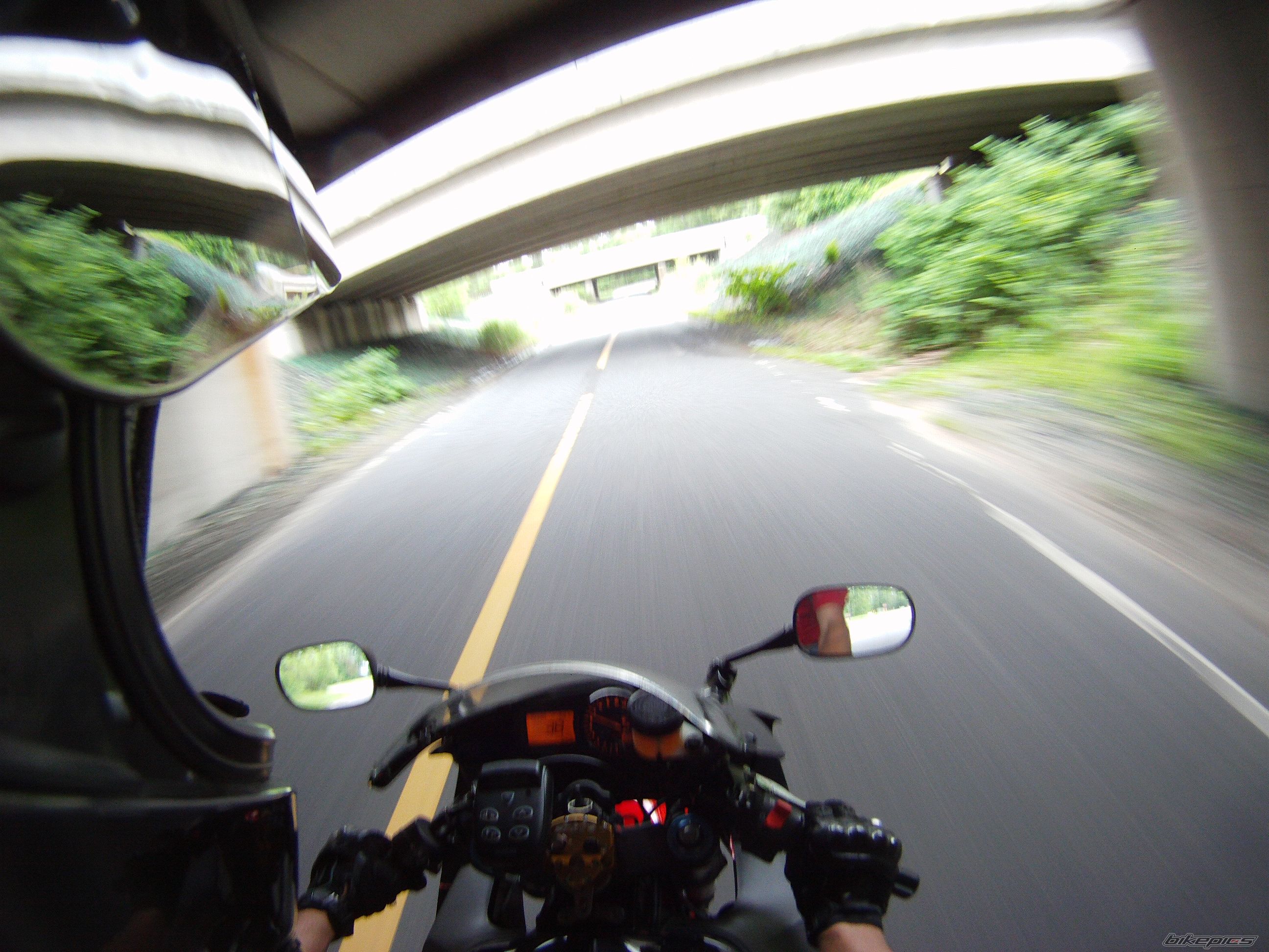 2003 HONDA CBR 954RR | Picture 1984772 motorcycle photo