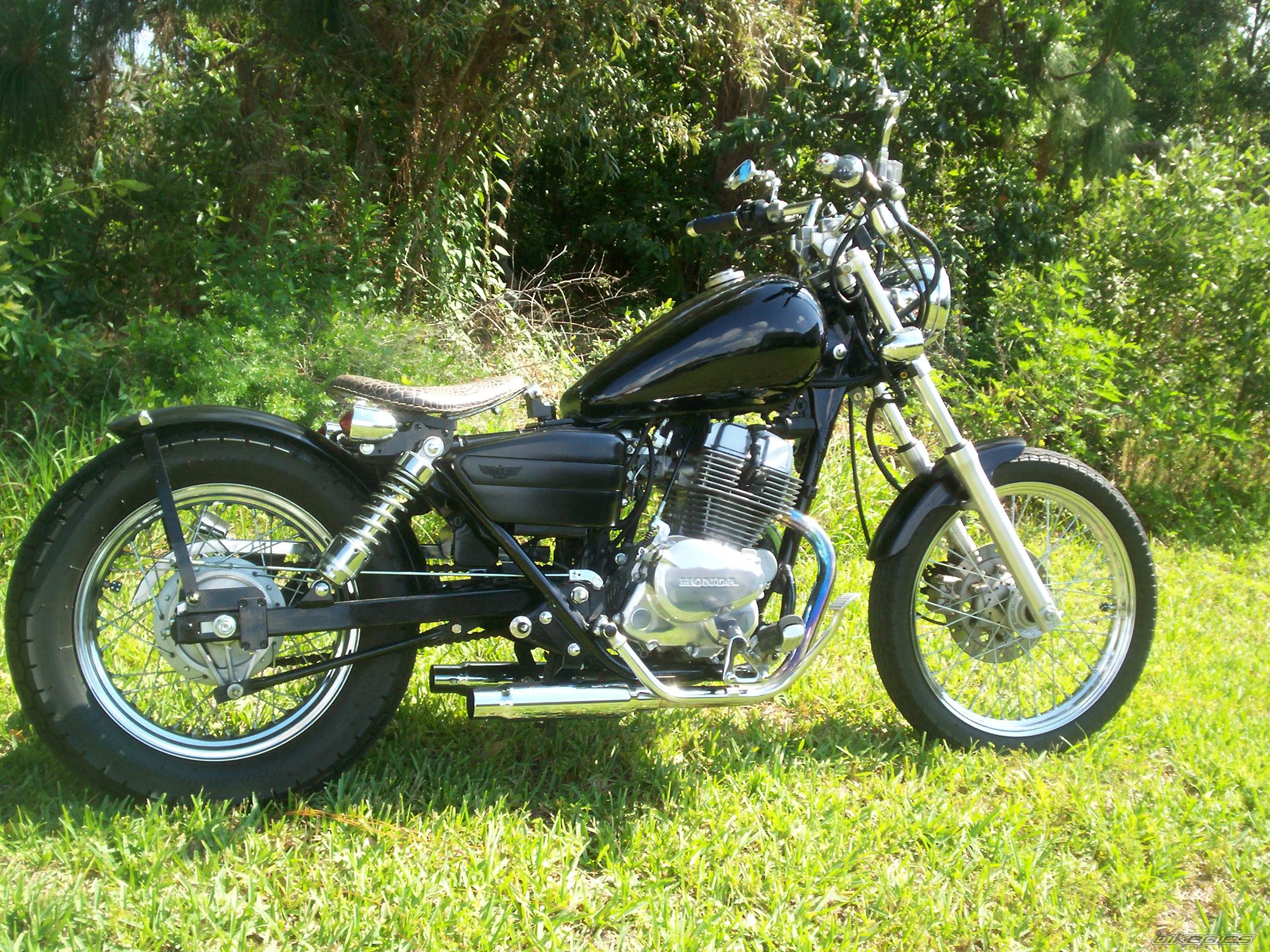2001 HONDA CMX 250 | Picture 1984993 motorcycle photo